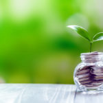 今月から NISA 枠を使って投資を開始